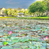 Chính Chủ Cần Bán Căn Nhà Phố Park Riverside Full Nội Thất , Có Sổ Giá Tốt Không Kê .. Giá Bán 8,1 Tỷ