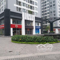 Cho Thuê Shophouse Giá Bán 105 Triệu Vnd Tại Times City Hà Nội