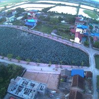 Chính Chỉ Cần Bán Lô Đất View Hồ Sen Tại Ứng Hoà - Hà Nội