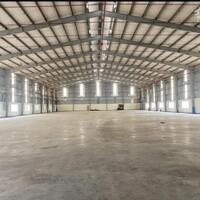 Cho thuê xưởng 3200m2 KCN Long Hậu, Xã Long Hậu, Cần Giuộc, Long An