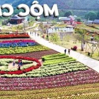 Tổng Diện Tích:1.002M,Thổ Cư 400M,Tiểu Khu Chiềng Đi,Thị Trấn Nông Trường Mộc Châu,Sơn La.