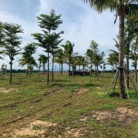 Dự Án Central Avenue Quy Nhơn _ Central Avenue Quy Nhon - ''Át Chủ Bài'' Sinh Lời Đắc Thắng