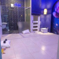 Nhà Làm Chdv, Homestay, Spa - Mặt Tiền Đường Hoa Lan - Khu Phan Xích Long