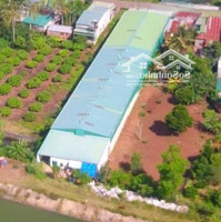 Bán Kho Km47 Krong Pắc 1500M2 , Pháp Lý Thổ Cư, Đã Có Kho Sẵn Full Diện Tích Đất