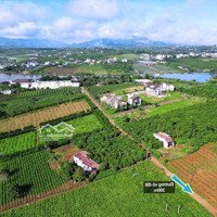 Đà Lạt 2-Phúc Thọ - Lâm Hà Một Chiếc View Hồ Biệt Thự Nghỉ Dưỡng Mát Mẻ Hơn 1000M2 Sẵn 200M2 Thổ Cư