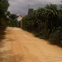 Bán Farm 1.5Ha. Ninh Hòa. Duy Linh Lâm Đồng