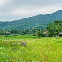 Đất Nghỉ Dưỡng Yên Bình 3 Mặt Thoáng, View Cực Hút Mắt,Diện Tích2500M2