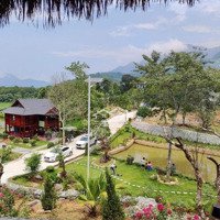 Bán Homestay Nghỉ Dưỡng Tại Xã Tiến Xuân, Thạch Thất 7600M2 View Cao Đẹp, Sẵn Khuôn Viên