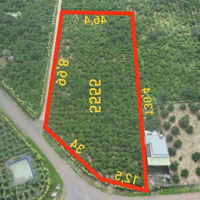 Bán Đất Phân Lô 5.500M2 Xã Hoà Ninh