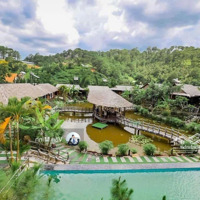 Resort 3859M2, 35 Phòng Kd Đối Diện Tea Resort (Đôi Dép) Chân Đèo Prenn, View Rừng Thông 360 Độ