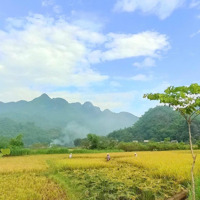 Cần Bán 3665M2 Đất View Cánh Đồng Đồi Núi Tuyệt Đẹp Tại Lương Sơn, Hoà Bình