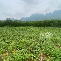 Cần Bán 3665M2 Đất View Cánh Đồng Đồi Núi Tuyệt Đẹp Tại Lương Sơn, Hoà Bình