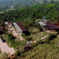 Farmstay Nghỉ Dưỡng - Diên Tích 4000M2 (400M2 Thổ Cư), Đường Betong 5M Tận Nhà, Điện Nước Đầy Đủ.