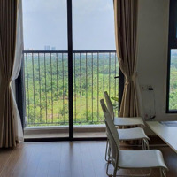 Chính Chủ Cho Thuê Nhà 58M2 Park1 Aquabay