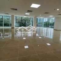 Mbkd Hoặc Văn Phòng Kim Cương Đường Trần Thái Tông, Khu Vực Trung Tâm Cầu Giấy (550M2)