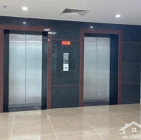 Mbkd Hoặc Văn Phòng Kim Cương Đường Trần Thái Tông, Khu Vực Trung Tâm Cầu Giấy (550M2)