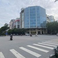 Chính Chủ Cho Thuê Văn Phòng Kim Cương Đường Trần Thái Tông, Trung Tâm Cầu Giấy, Hà Nội