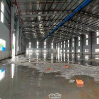 Cho Thuê Kho Mới Xây Trong Kcn Tân Đô -Diện Tích2.300M2(Kho)+ 1000M2(Sân) Giá - 170 Triệu/Tháng