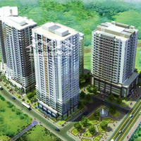 Căn Hộ Chung Cư Park View City Tại Cầu Giấy, Hà Nội Giá Tốt