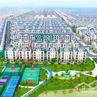 Siêu Hiếm - Biệt Thự Song Lập Tại Đảo Dừa 8 View Trực Diện Công Viên Đảo Dừa. Vinhomes Ocean Park 2