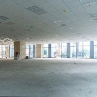 Siêu Phẩm Hai Bà Trưng Trệt 2 Lầu Dtsd: 900M2 Đối Diện Cv Lê Văn Tám