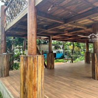 Cho Thuê Homestay Sát Sân Bay 3 Mặt Tiền Hẽm Nguyễn Lương Bằng