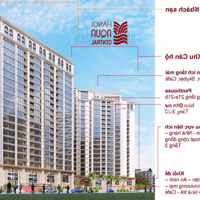 Cần Bán Căn 3 Ngủdiện Tích115M2 Tại Chung Cư Hà Nội Aqua Central 44 Yên Phụ.