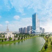 Cần Bán Lại 1N Tòa Beverly 1 Diện Tích: 48 M2 Vinhomes Ocean Park Liên Hệ: 0702465888