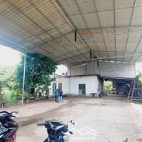 Cho Thuê Xưởng Mới 1800M2 Phước Tân, Biên Hòa, Đồng Nai