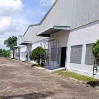 Mặt Bằng Nhà Kho 2200M2, Mặt Tiền Nhựa, Giá 50 Triệu/Tháng