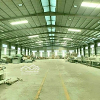 Mặt Bằng Nhà Kho 2200M2, Mặt Tiền Nhựa, Giá 50 Triệu/Tháng