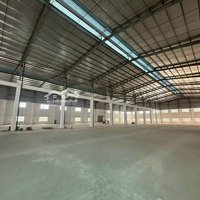 Cho Thuê Kho Xưởng 2500M2 Tại Quận 9 Giá Chỉ 150 Triệu