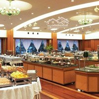 Cho Thuê Nhà Mặt Phố Khúc Thừa Dụ 160M2Mặt Tiền9M Giá Bán 60 Triệu. Hợp Nhà Hàng, Cafe, Nhận Nhà Ngay, Free 1Th