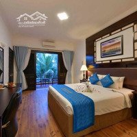 Bán Gấp Resort 4 Sao View Biển Cửa Đại 2Xx Tỷ - 5.162M2 Ngang 50M. Doanh Thu 4 Tỷ/Tháng