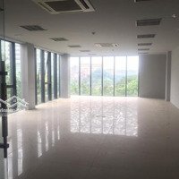 Cho Thuê Mbkd, Ngân Hàng, Showroom, Spa, Văn Phòng. Tại Tòa Nhà Số 295 Thanh Nhàn, Hai Bà Trưng, Hn