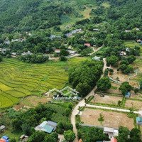 Cần Chuyển Nhượng Nhanh Diện Tích: 1557M Thổ Cư 105M Đất Xã Hợp Hoà.lương Sơn, Hòa Bình Giá 3.Xtr/1M