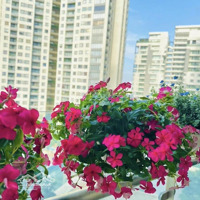 Cư Dân One Verandah Kẹt Tài Chính Bán Nhiều Căn Có Cả 1-2- 3 Phòng Ngủ. Liên Hệ Trả Giá Trực Tiếp, Rẻ Nhất