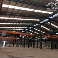 CHO THUÊ KHO XƯỞNG THÀNH PHỐ TÂN AN, TỈNH LONG AN 5000m2, 10.000m2