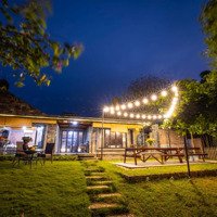 Chính Chủ Nhờ Bán Homestay Nhà Vườn Ôm Trọn View Hồ Đẹp Nhất Cnc Hòa Lạc