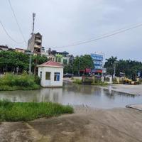 Cho Thuê Kho, Bãi, Nhà Xưởng Diện Tích 20.000 M2