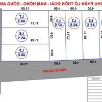 Hàng Hiếm Thôn Đoài, Nam Hồng, Đông Anh ( Lô Góc 46.6)