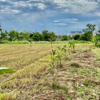 Bán 1 Sào Cln (1000M) Gần Trạm Dừng Cao Tốc Phan Thiết - Vĩnh Hảo, Cách Ql 28 7 Phút. Đất Vuông Vức