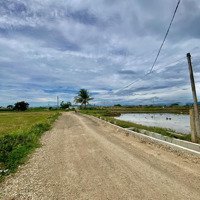 Bán 1 Sào Cln (1000M) Gần Trạm Dừng Cao Tốc Phan Thiết - Vĩnh Hảo, Cách Ql 28 7 Phút. Đất Vuông Vức