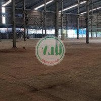 Bán Nhà Xưởng Diện Tích 7.000M2 Tại Xuyên Mộc, Brvt.