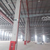 Cho Thuê Xưởng Mới 5000M2 Trong Kcn Hố Nai, Trảng Bom, Đồng Nai