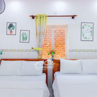 Cho Thuê Nhà Gần Bãi Sau Ở Hoặc Kinh Doanh Homestay