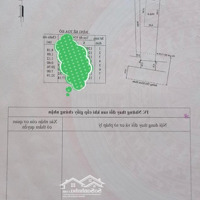 Bán Gấp Lô Góc 263.8M2 Đường Thủ Khoa Huân - Trên Đất Có Căn Nhà Cấp 4 - Phan Thiết.