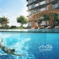 Chính Sách Bán Hàng Hấp Dẫn Từ Cđt Gamuda Land Dành Cho Phase 2 - Tháp A1, A2 Dự Án Eaton Park