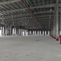 Cho Thuê Mặt Bằng Đất Trống 10.000 M2 Kcn Thịnh Phát, Long An.