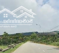 Cơ Hội Đầu Tư Sinh Lời Tại Đại Lải - 1200M Đất Đẹp Màu Mỡ, Giá Chỉ 7.7 Triệu/M